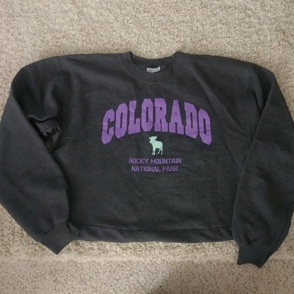 Urban Outfitters Sweaters - Colorado crop sweater